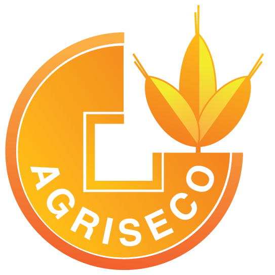 Công ty Cổ phần Chừng khoán Agribank- Chi nhánh Miền Nam